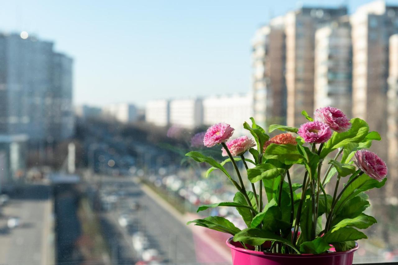 Appartement Lujerului Bucarest
